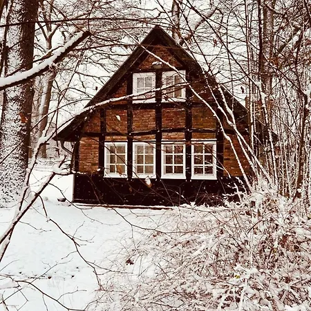 펜션 Wellness-auszeit Im Duemmer-weserland In Aussergewoehnlichem Inklusive Privates Saunahaus
