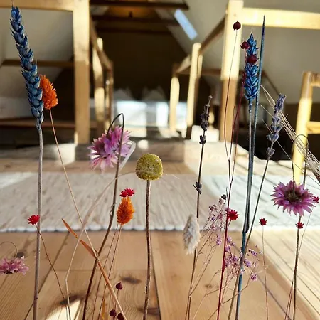 Wellness-auszeit Im Duemmer-weserland In Aussergewoehnlichem Inklusive Privates Saunahaus 펜션 Eydelstedt