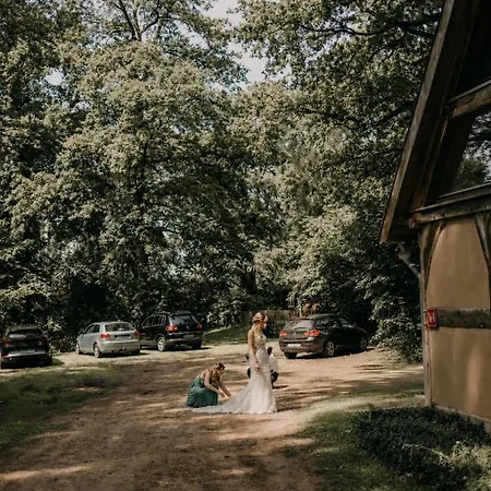 Wellness-auszeit Im Duemmer-weserland In Aussergewoehnlichem Inklusive Privates Saunahaus 別荘 *