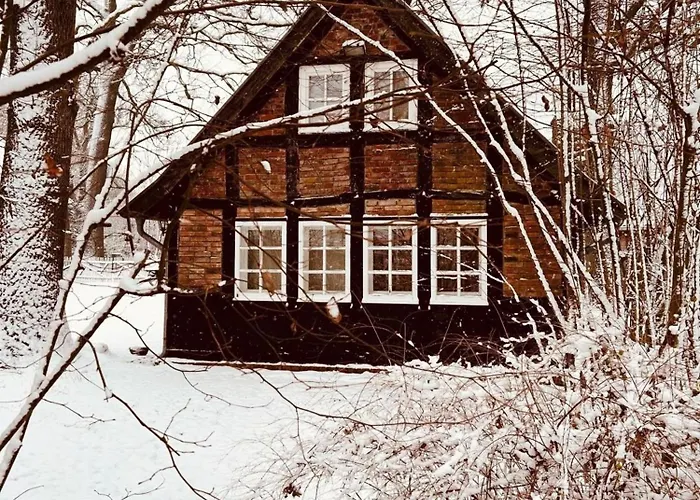 Holiday home Gaestehaus Auf Idyllischem Fachwerkhof Im Duemmer-weserland, Sauna Optional