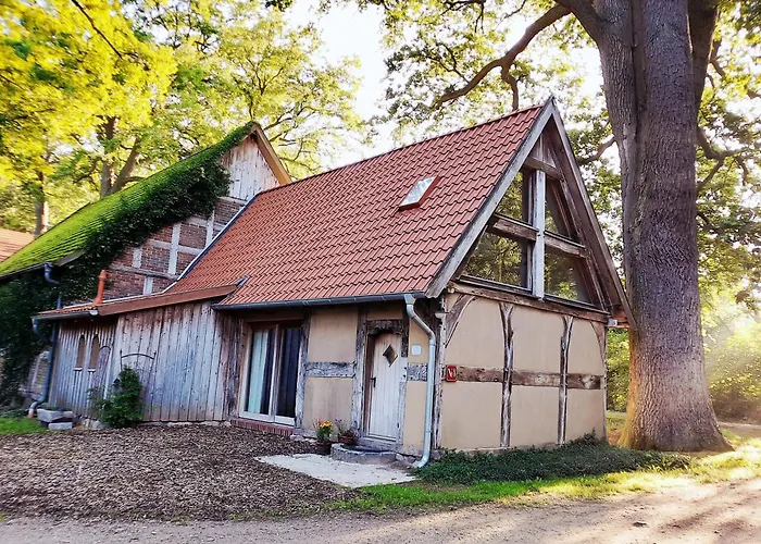 Vakantiehuis Gaestehaus Auf Idyllischem Fachwerkhof Im Duemmer-weserland, Sauna Optional Eydelstedt